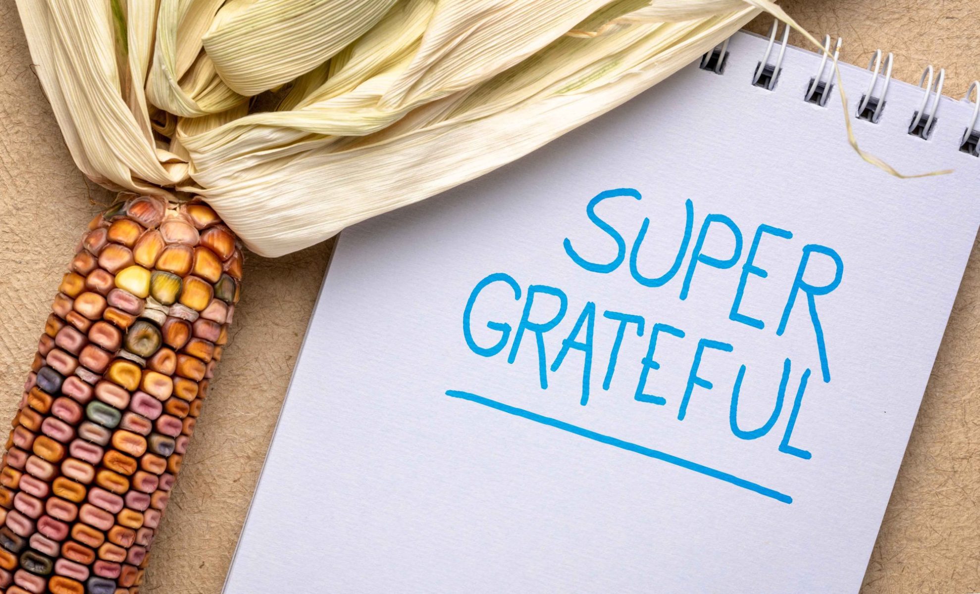 St. Paul Micro Market Service | Minneapolis Office Snacks | Employee Thanksgiving